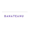 Banateanu - Blog
